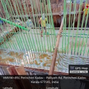 L/B, D/S chainage 25m - 49.5m pilecap concreted