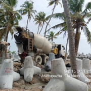 casting of tetrapods